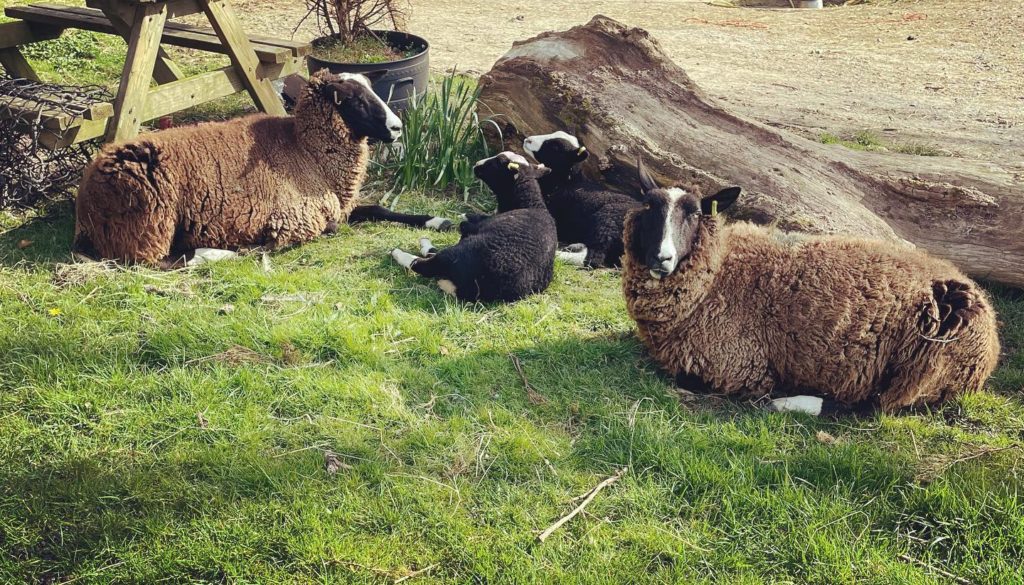 Craft Centre now Redlands Yard!